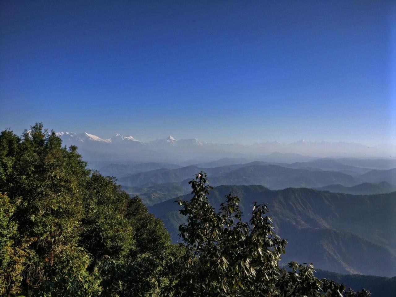 Simba Cafe & Lodge Binsar Exteriér fotografie